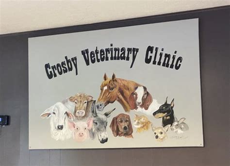 Crosby vet - Crosby Veterinary Clinic recommends yearly visits for most pets and older pets coming in more frequently – at least every 6 months. Yearly exams include physical examinations by our veterinarians plus annual or booster vaccinations, parasite screening & prevention, and various lab tests performed. 